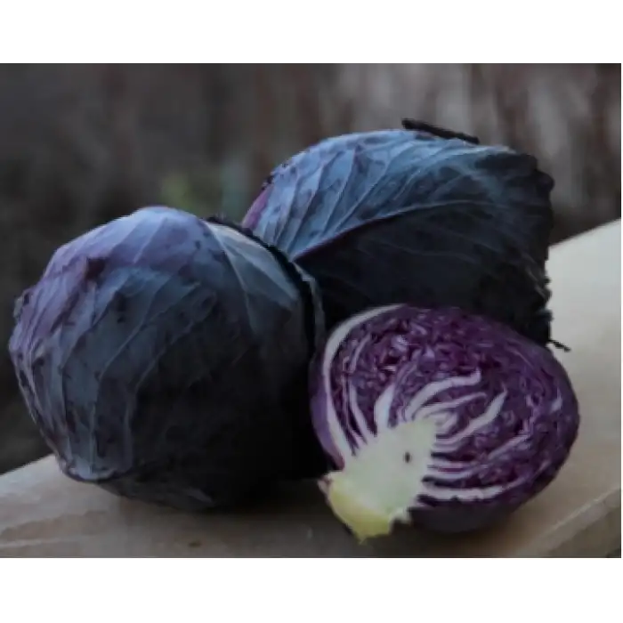 Rondale F1 Kırmızı Lahana Tohumu 2.500 Adet