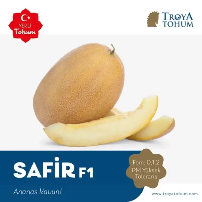 Safir F1 Ananas Kavun Fidesi