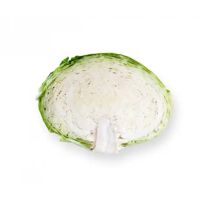 Septima F1 Beyaz Lahana Tohumu 2.500 Adet