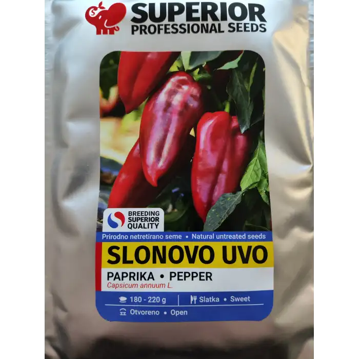 Slonovo Uvo Fil Kulağı Kapya Biber Fidesi