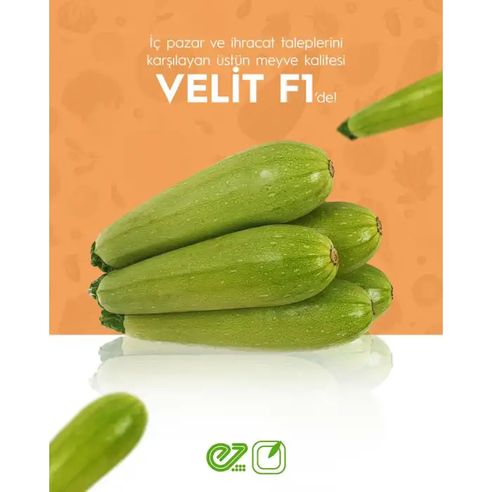 Velit F1 Kabak Tohumu 1000 Adet
