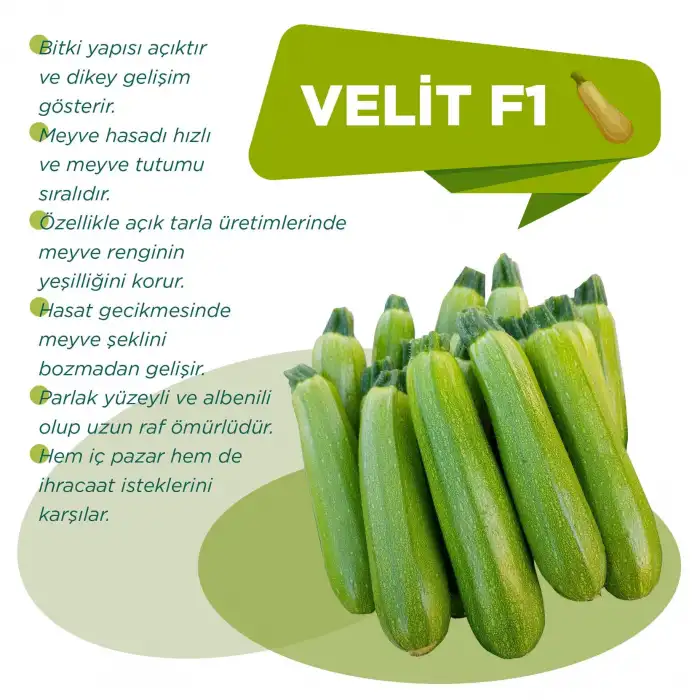 Velit F1 Kabak Tohumu 1000 Adet
