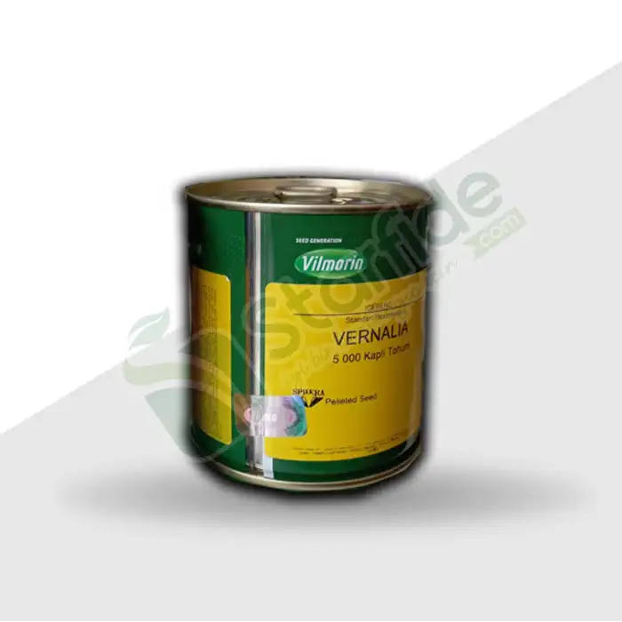 Vernalia İceberg Marul Tohumu 5.000 Adet