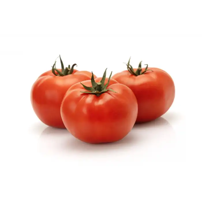 Yekta F1 Oturak Domates Fidesi