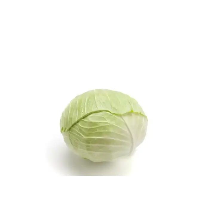 Zuleima F1 Beyaz Lahana Tohumu 2.500 Adet