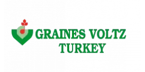 Graınes Voltz Seeds