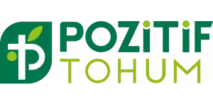 Pozitif Tohum