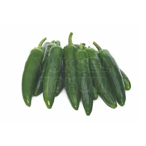 Yetkin F1 Jalapon Biber Fidesi