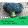 Baron F1 Brokoli Fidesi