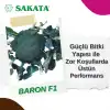 Baron F1 Brokoli Fidesi