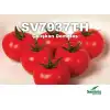 Çalışkan F1 Sırık Domates Fidesi