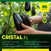 Cristal F1 Yarı Topan Patlıcan Fidesi