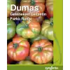 Dumas F1 Köy Domates Fidesi
