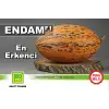 Endam F1 Kırkağaç Kavun Fidesi