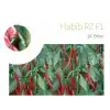 Habib F1 Şili Biber Fidesi
