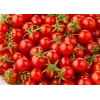 İnci F1 Çeri Domates Fidesi