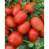 Kross F1 Salçalık Domates Fidesi