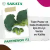 Parthenon F1 Brokoli Fidesi