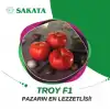 Troy F1 Oturak Domates Fidesi
