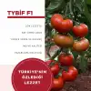 Tybif F1 Beef Domates Fidesi