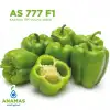 AS 777 F1 (Kasırga Tipi) Dolma Biber Fidesi