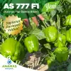 AS 777 F1 (Kasırga Tipi) Dolma Biber Fidesi