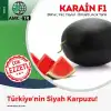 Aşılı Karain F1 Siyah Karpuz Fidesi