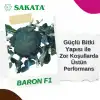 Baron F1 Brokoli 2.500 Adet