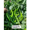 Esinti F1 Tatlı Sivri Biber Fidesi