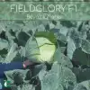 Fieldglory F1 Beyaz Lahana Fidesi
