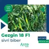 Gezgin F1 Acı Sivri Biber Fidesi