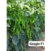 Gezgin F1 Acı Sivri Biber Fidesi