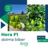 Hera F1 Dolma Biber Fidesi