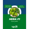 Hera F1 Dolma Biber Fidesi