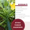Kuzgun F1 Siyah Kabak Tohumu 1000 Adet