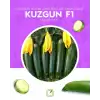 Kuzgun F1 Siyah Kabak Tohumu 1000 Adet
