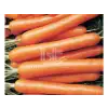 Nantes Scarlet Havuç Tohumu 10 Gram