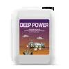NATURWIN Deep Power Hayvansal Amino Asit 20 Litre