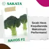 Naxos F1 Brokoli Tohumu 2.500 Adet