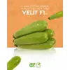 Velit F1 Kabak Tohumu 1000 Adet