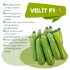 Velit F1 Kabak Tohumu 1000 Adet