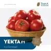 Yekta F1 Oturak Domates Fidesi