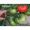 Yıldızköy F1 Köy Tipi Domates Fidesi