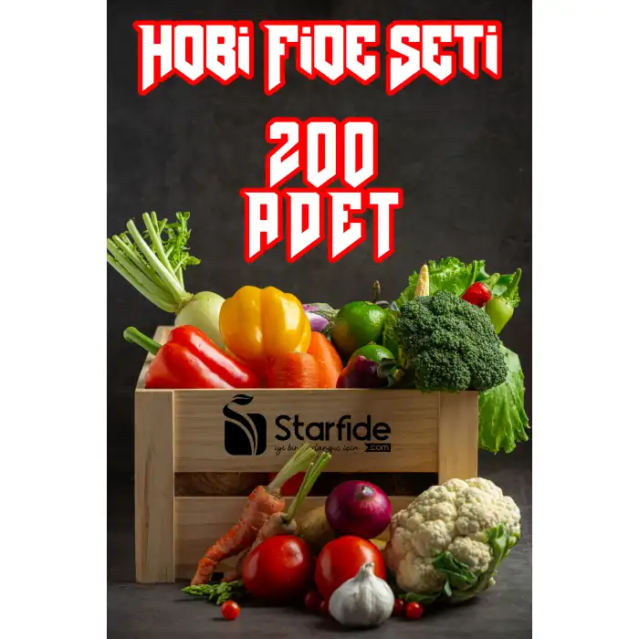 Hobi Fide Seti 200 Adet