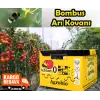Bombus Arı Kovanı
