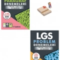 LGS 8. SINIF PARAGRAF VE PROBLEM DENEMELERİ