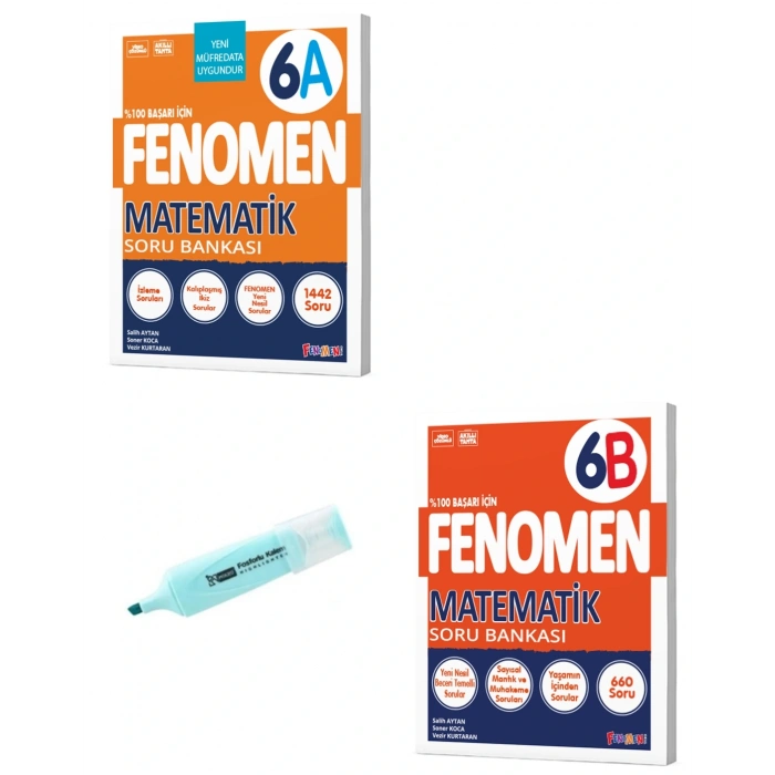 6. Sınıf Matematik A Ve Matematik-B Soru Bankası