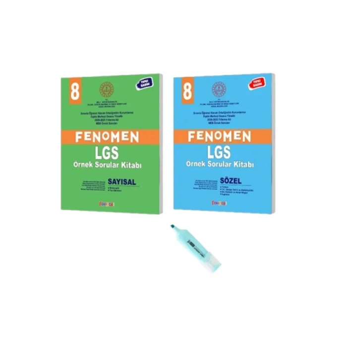 LGS 8.Sınıf MEB Sayısal ve Sözel Örnek Sorular 2 Kitap