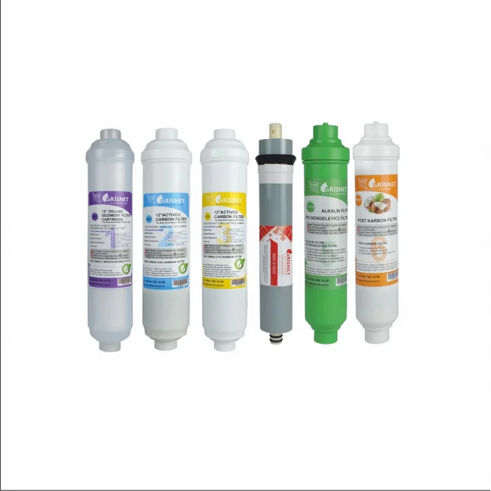 Arisnet 6li 12 İnç Inline Filtre Seti - Kapalı Kasa Cihaz Filtresi