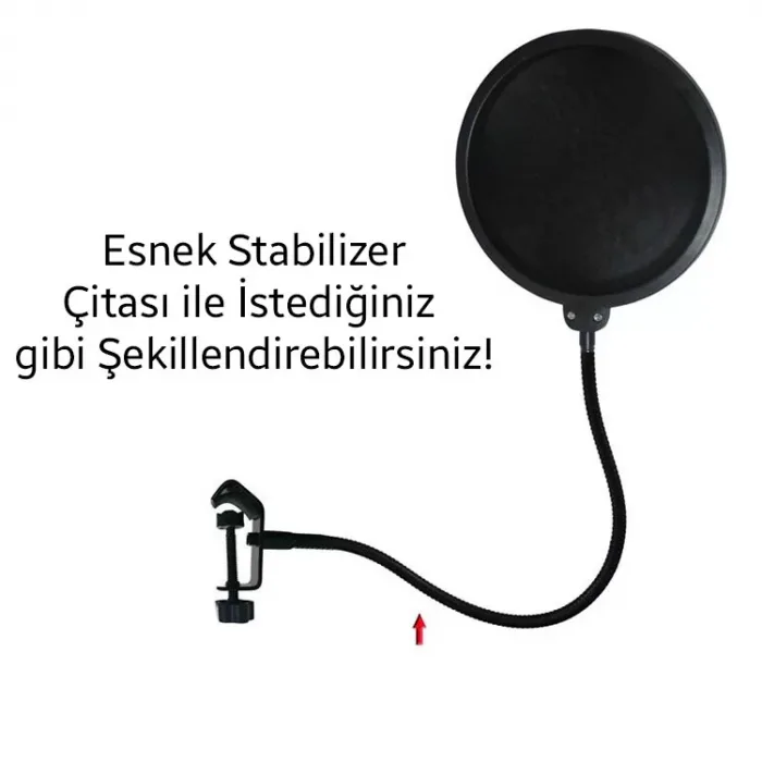 Ally Çift Katman Stüdyo için Mikrofon Pop Filtre Youtuber